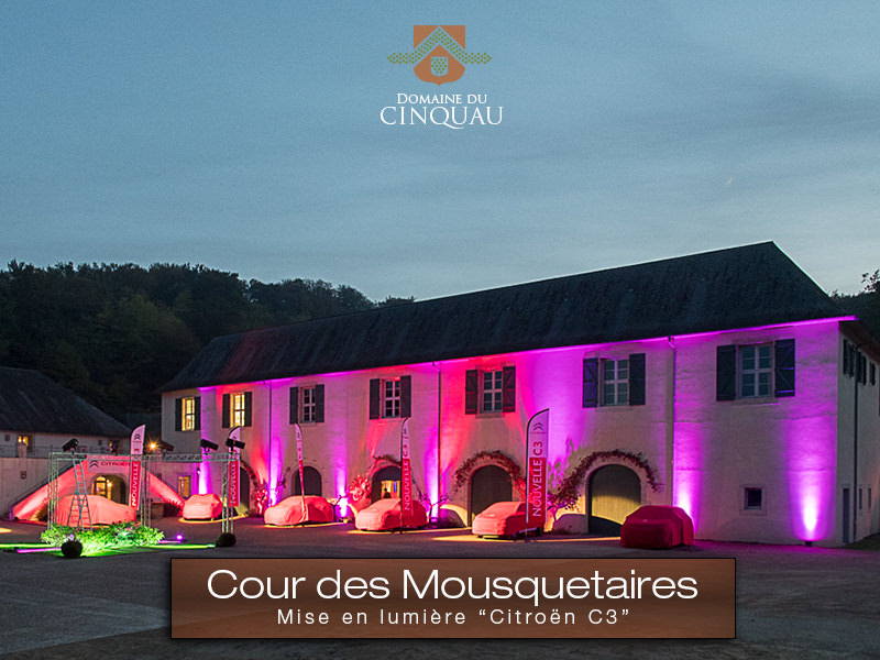Domaine du Cinquau_64230 ARTIGUELOUVE_20